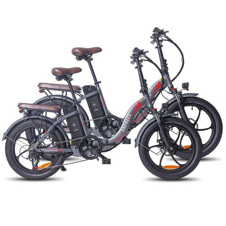 Fafrees F20 Pro * 2 E-Bikes Bundle